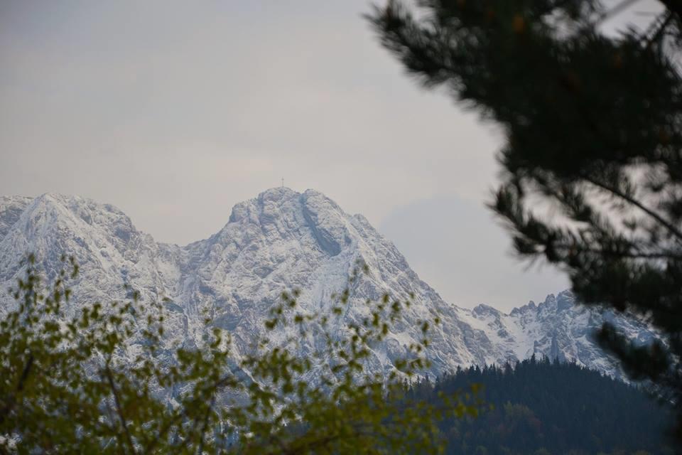 Apartment Twoj Giewont Zakopane Kościelisko